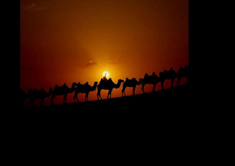 Camel Caravan Silhouette — Orange