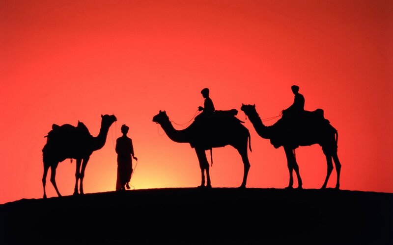 Camel Caravan Silhouette — Red, Dramatic, Sunset, Photograph