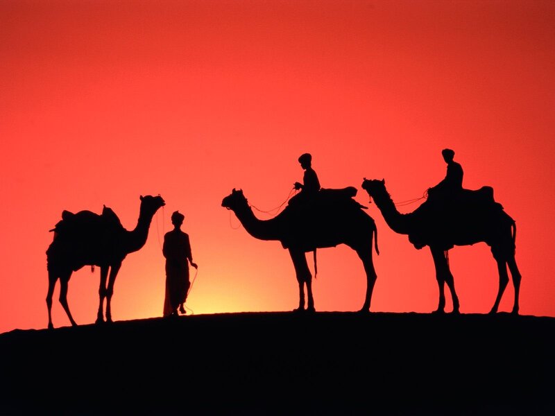 Camel Caravan Silhouette — Red, Dramatic, Sunset