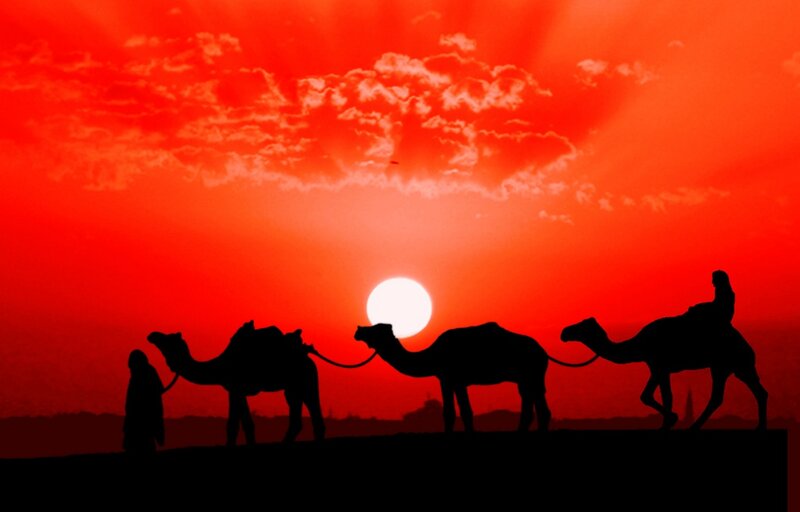 Camel Caravan Silhouette — Red