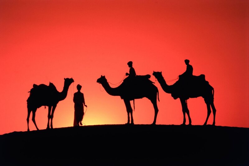 Camel Caravan Silhouette