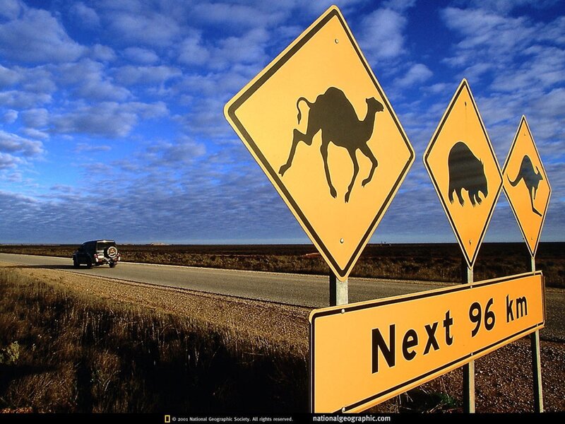 Camel crossing signs on Australian road