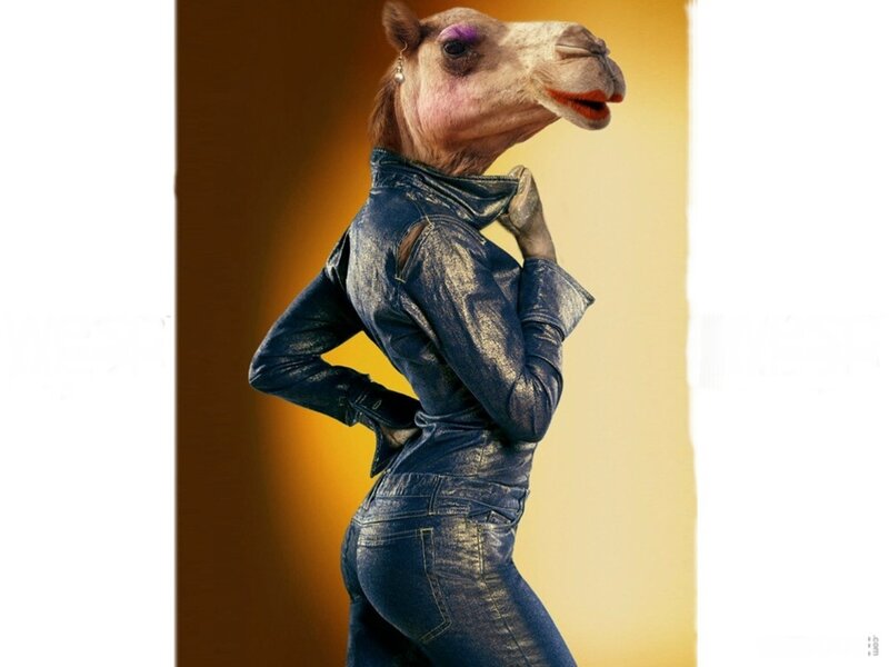 camel in denim outfit