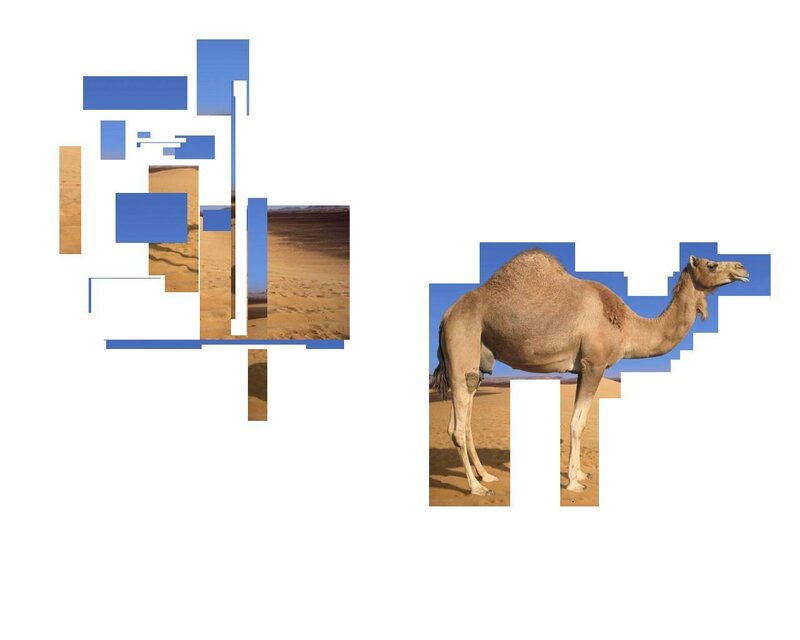 Camel in Desert