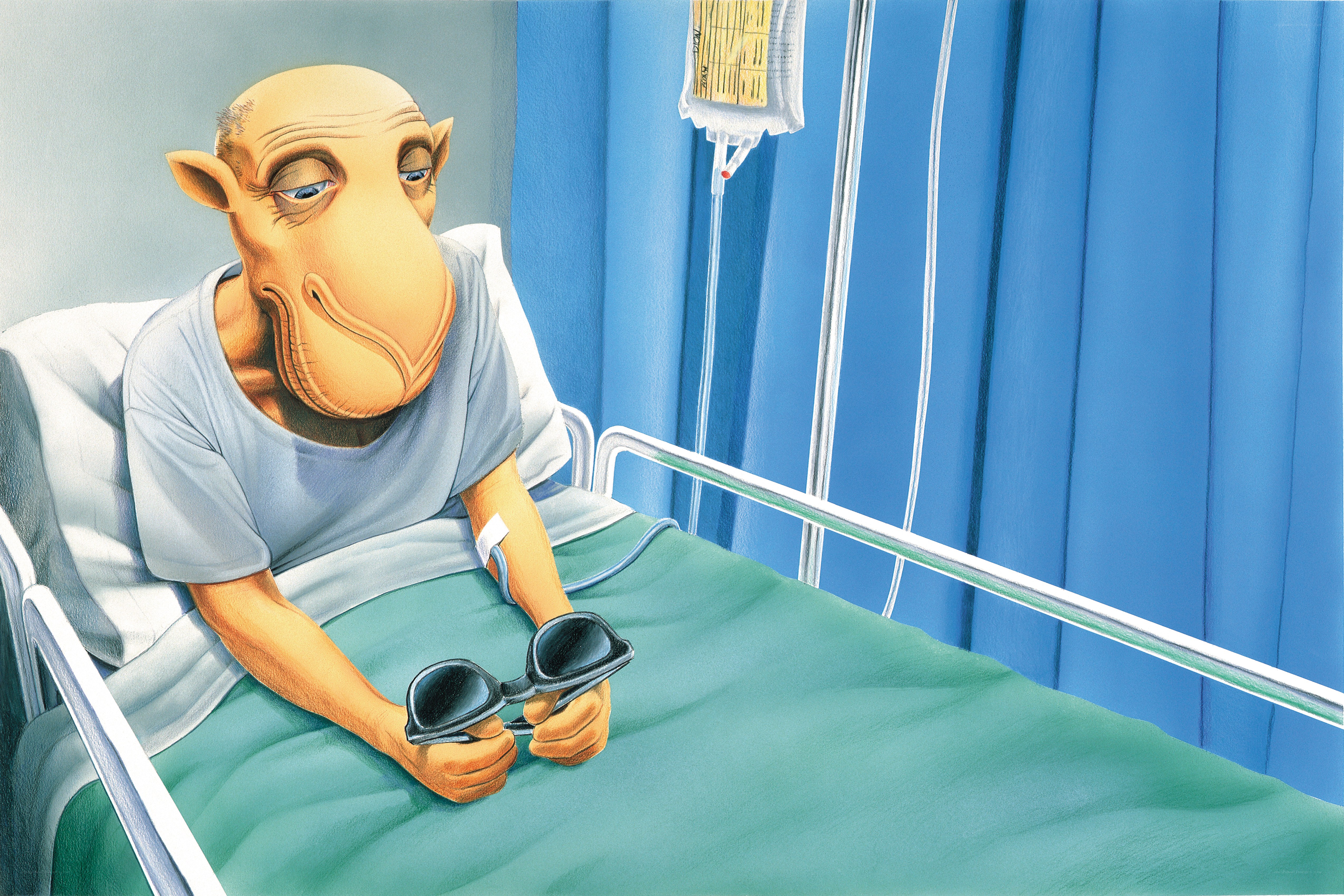 camel in hospital bed