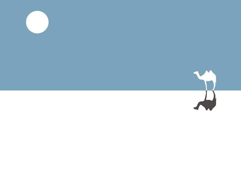Camel in the desert