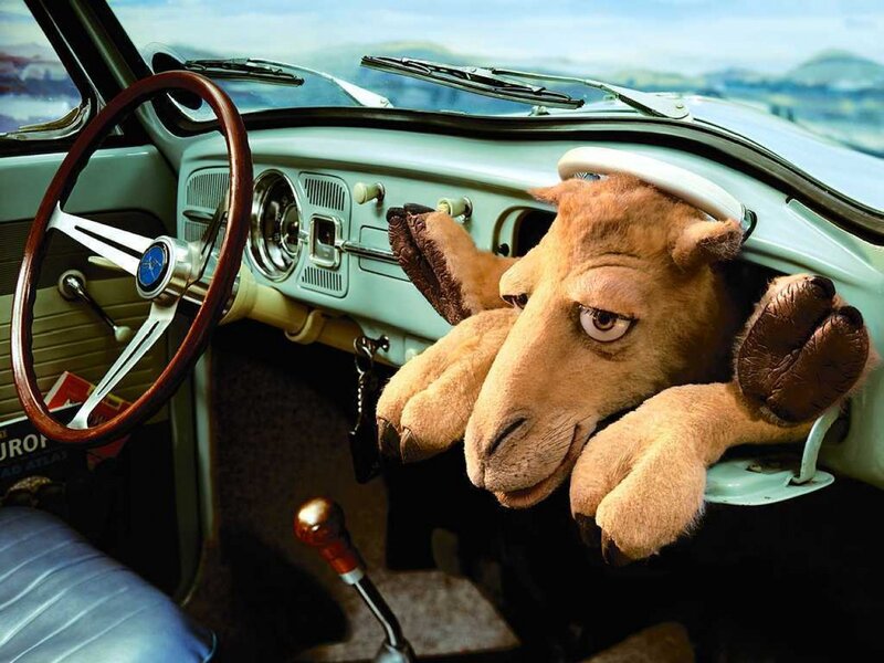 Camel Puppet in Car