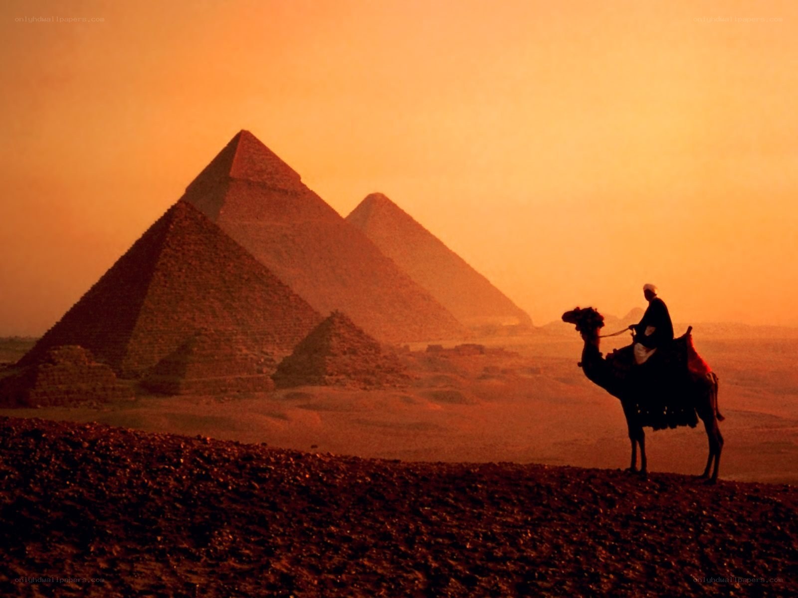 Camel rider at pyramids