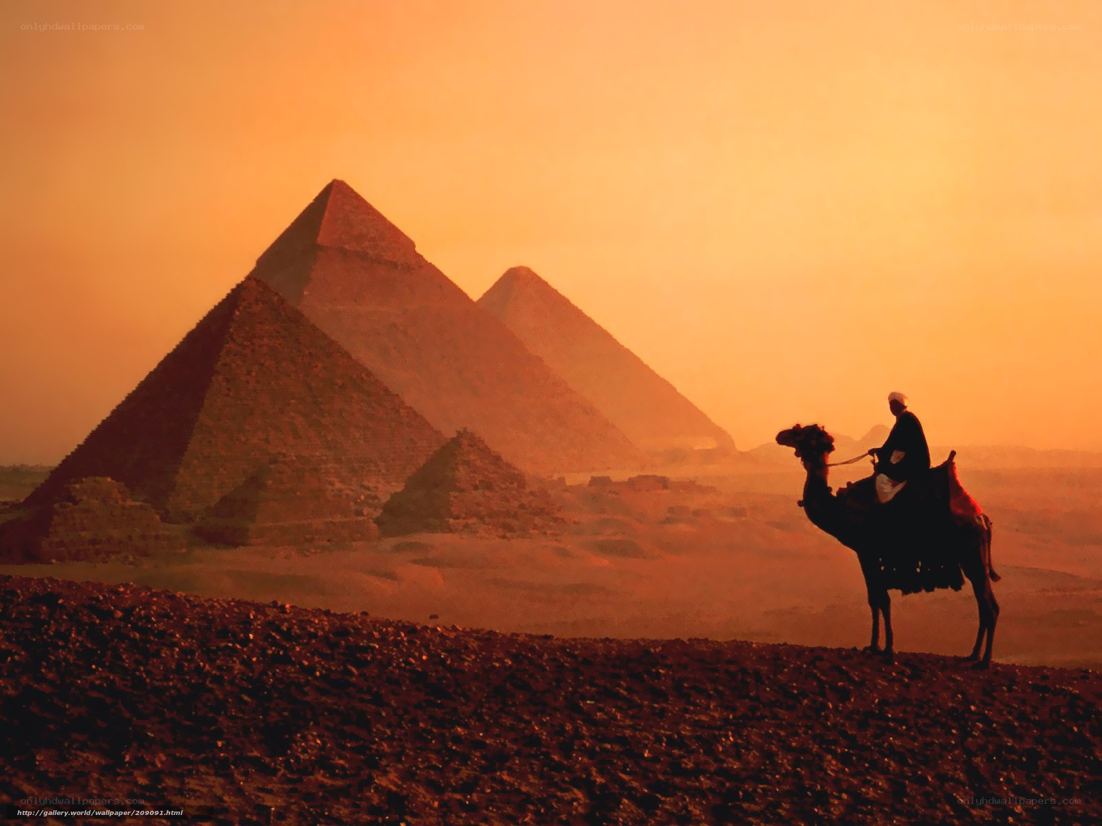Camel rider at pyramids at sunset