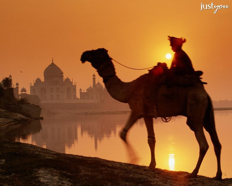 Camel rider at sunset by Taj Mahal