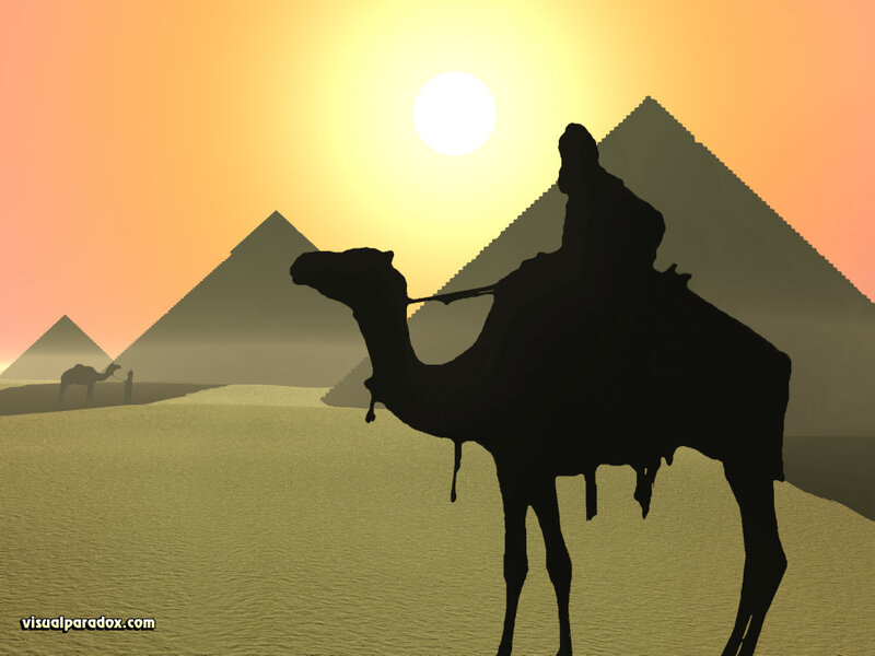 Camel rider at sunset