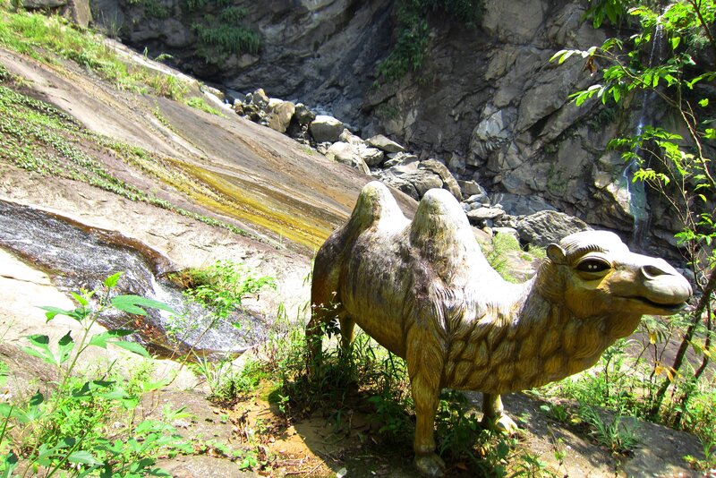 Camel Statue in Forest
