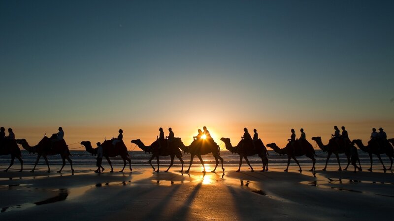 Camel tour at sunset on beach