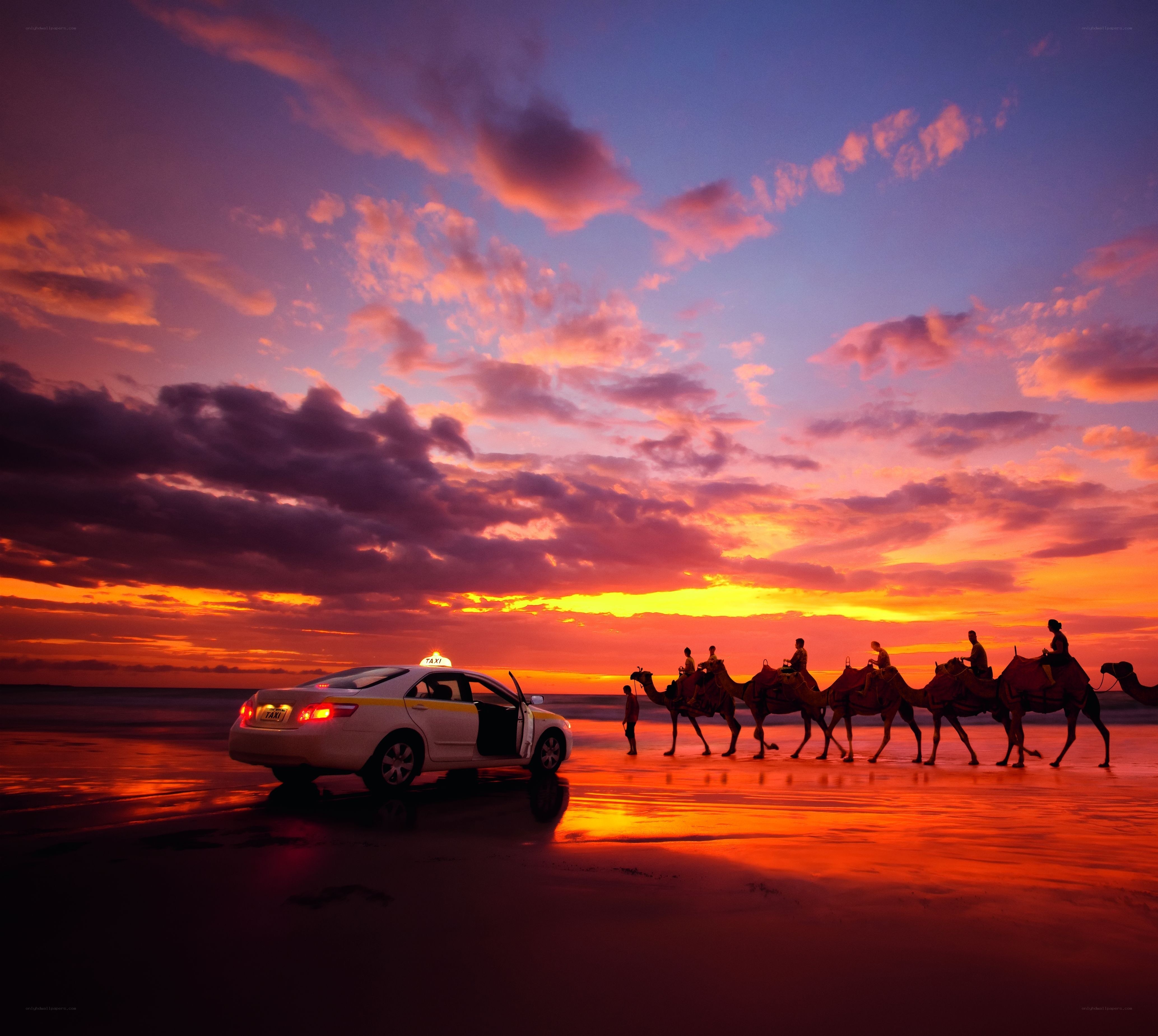 Camel tour at sunset on beach