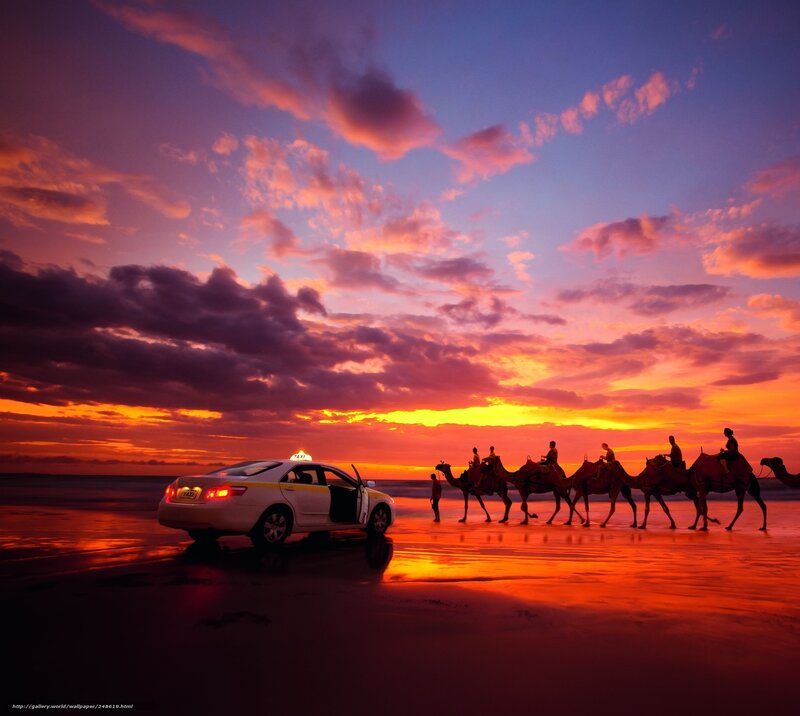 Camel tour at sunset on beach