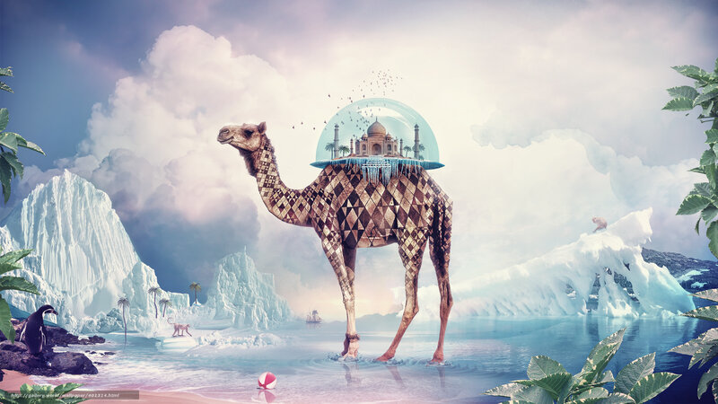 Camel with floating city