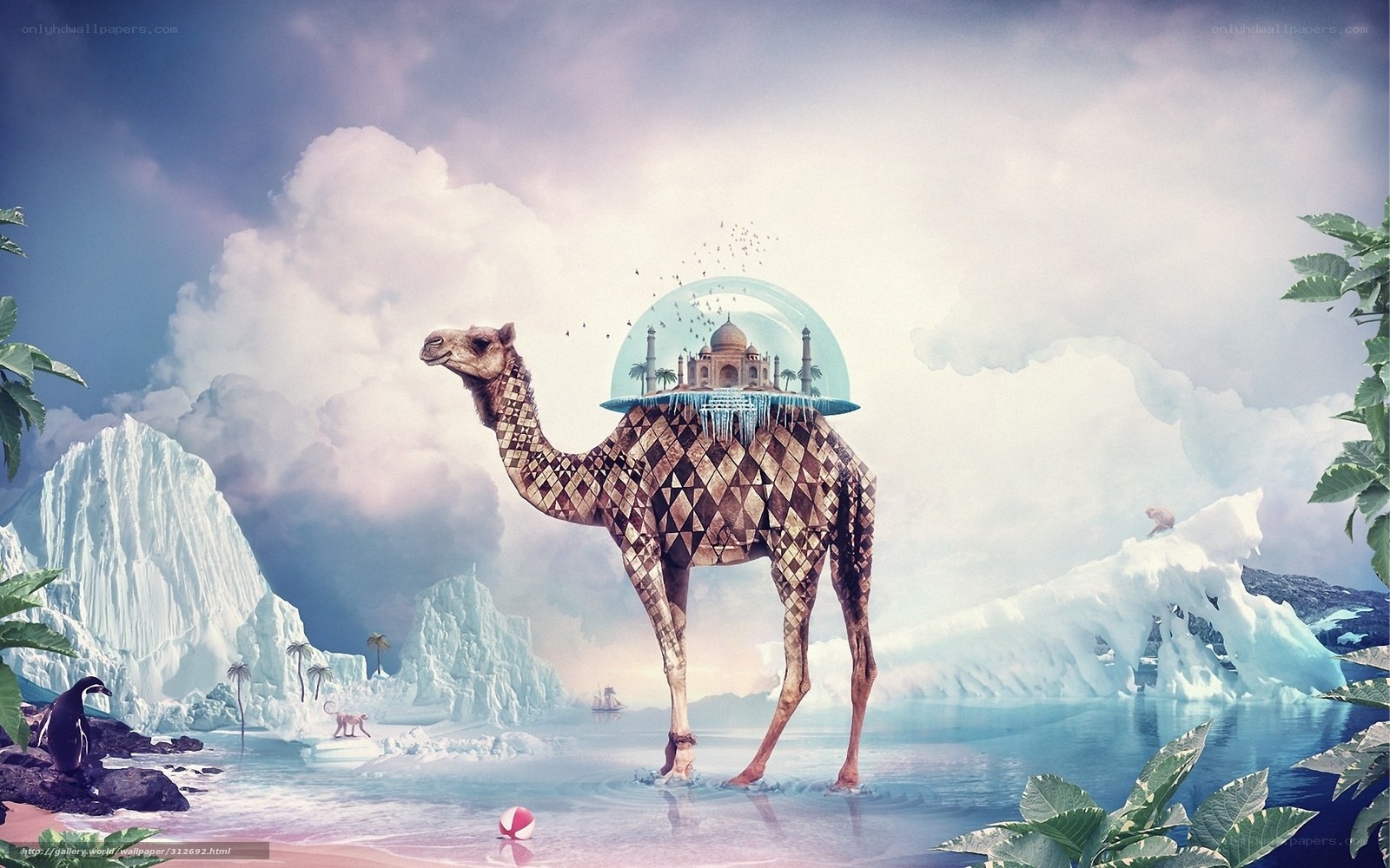 Camel with floating city