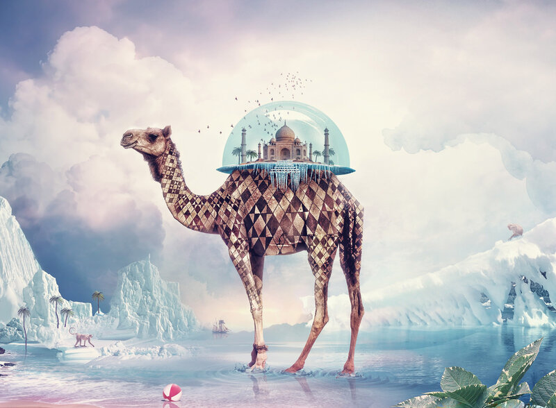 Camel with Globe on Back — Blue