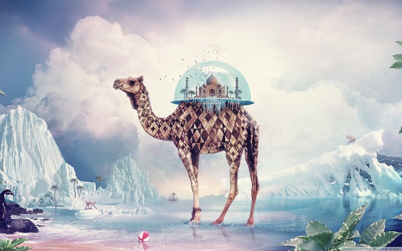 Camel with Globe on Back
