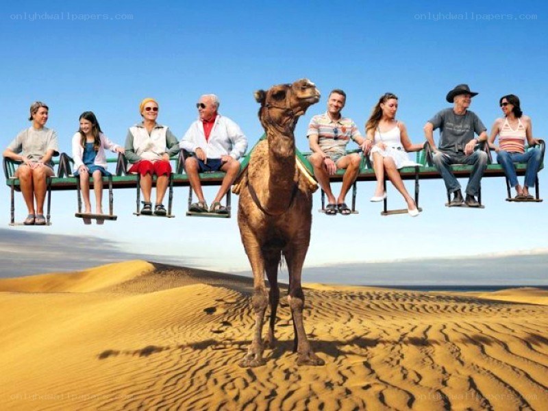 Camel with passengers in desert