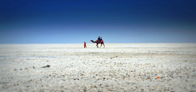 Camel with Riders in Desert