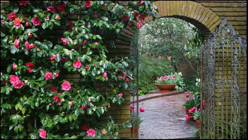 Camellia-covered Archway — Green