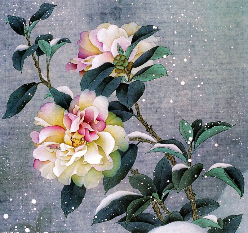 Camellia Flowers in Snow