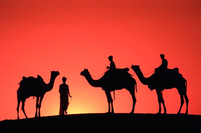 Camels and Riders Silhouette — Red, Dramatic, Sunset