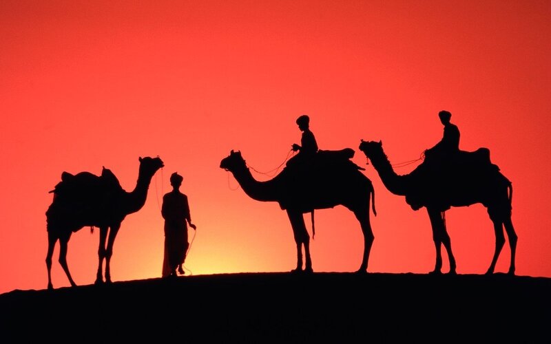Camels and Riders Silhouette — Red