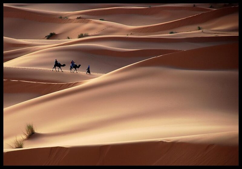 Camels and Travelers in Desert