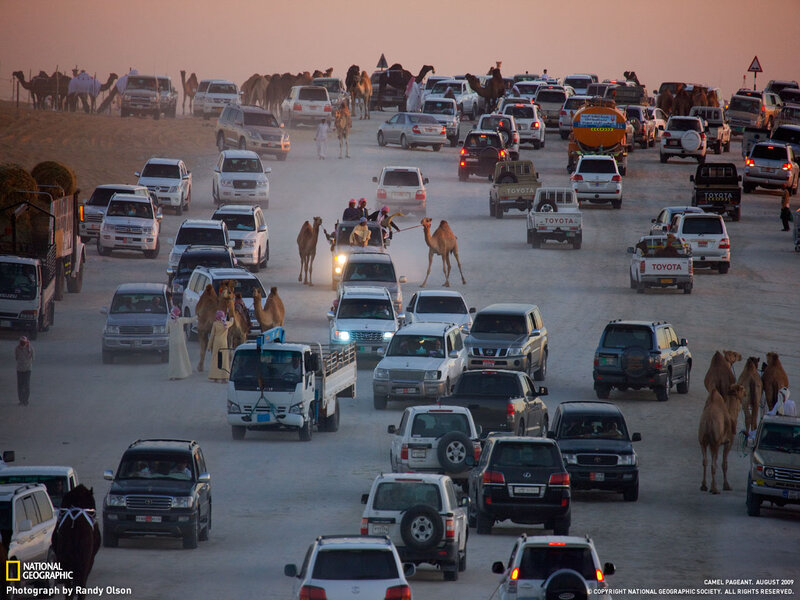 Camels and Vehicles