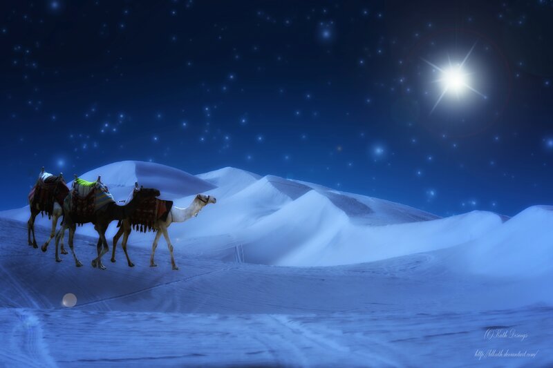 Camels in Desert — Blue, Serene