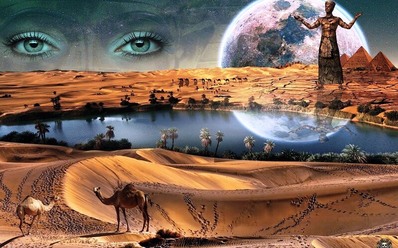 Camels in Desert — Brown, Dreamlike