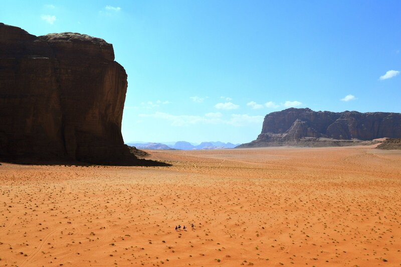 Camels in Desert — Orange, Arid, Afternoon