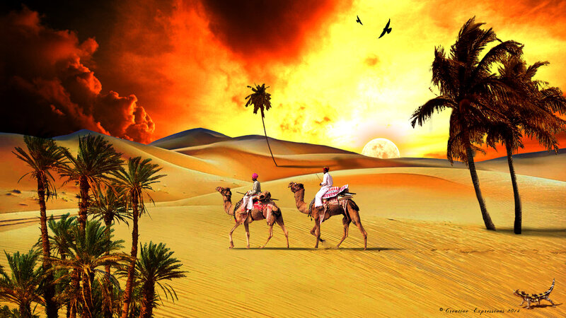 Camels in Desert — Orange, Dramatic, Sunset