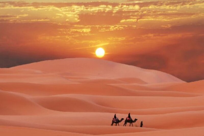 Camels in Desert — Orange, Serene, Sunset, Photograph