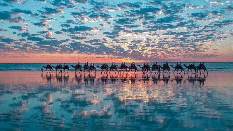 Camels on Beach — Blue, Serene, Sunset