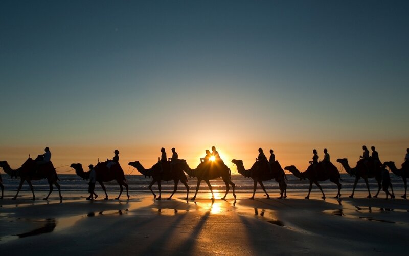 Camels on Beach — Blue, Serene