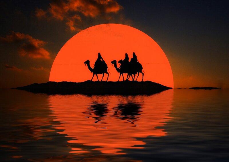Camels on Island