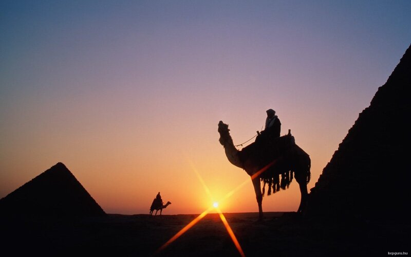 Camels with Riders — Orange, Dramatic