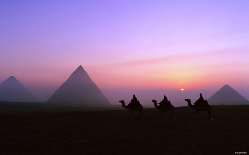 Camels with Riders — Purple