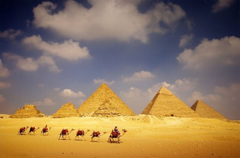 Camels with Riders — Yellow, Dramatic