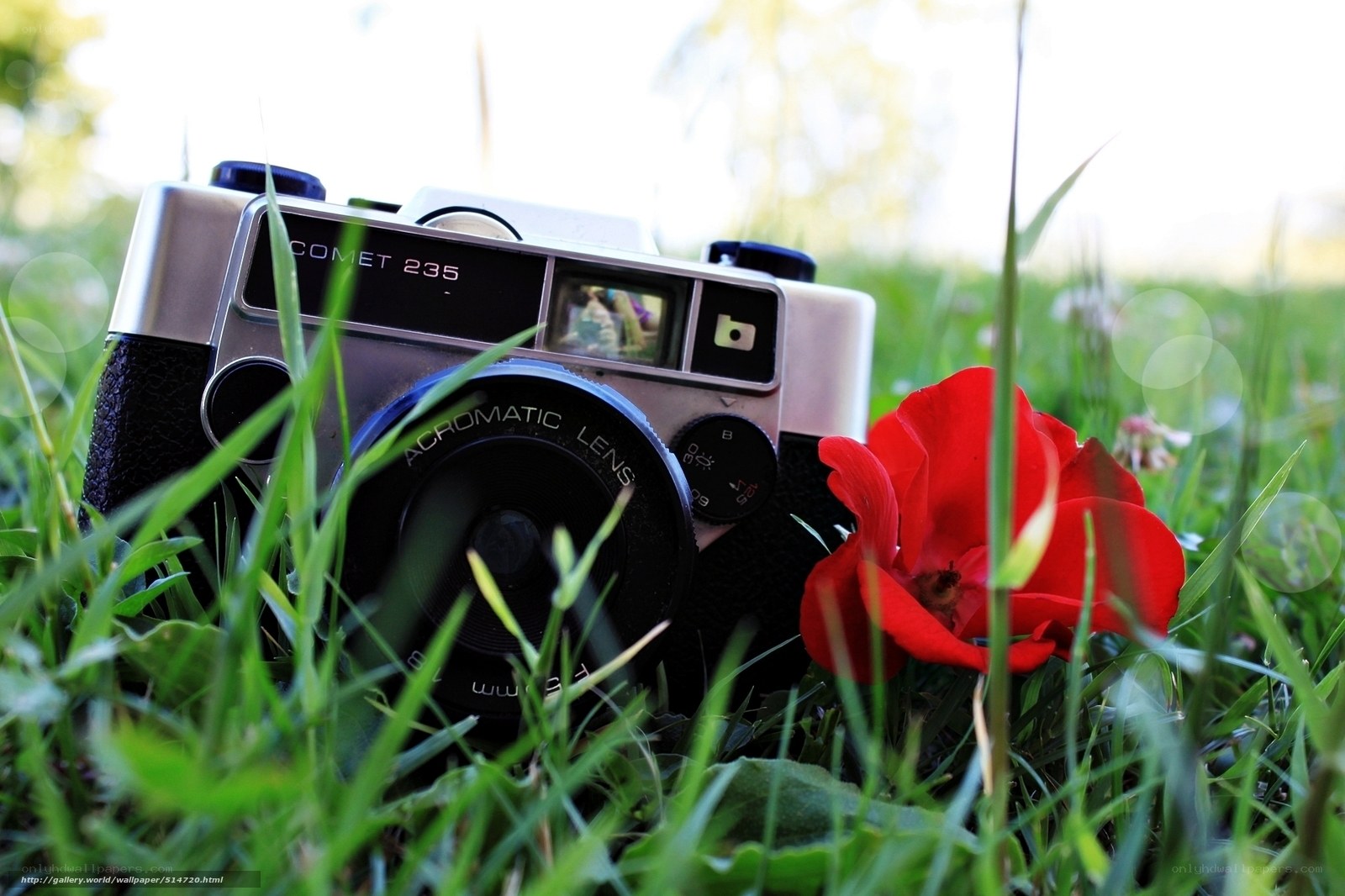 Camera and flower in grass