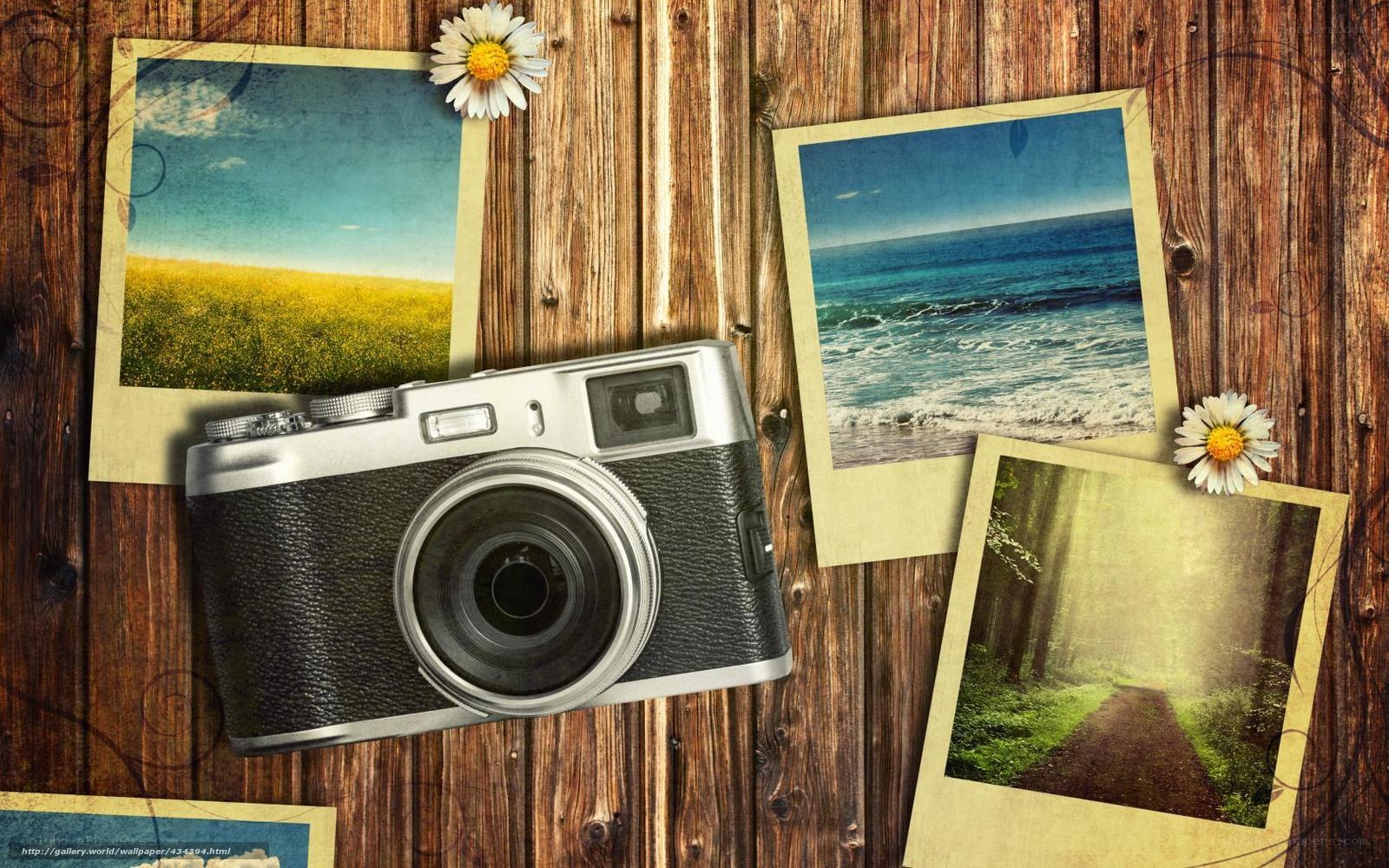 camera and photos on wood