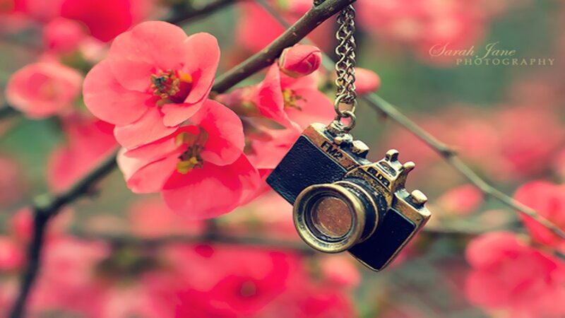 camera charm on flowering branch
