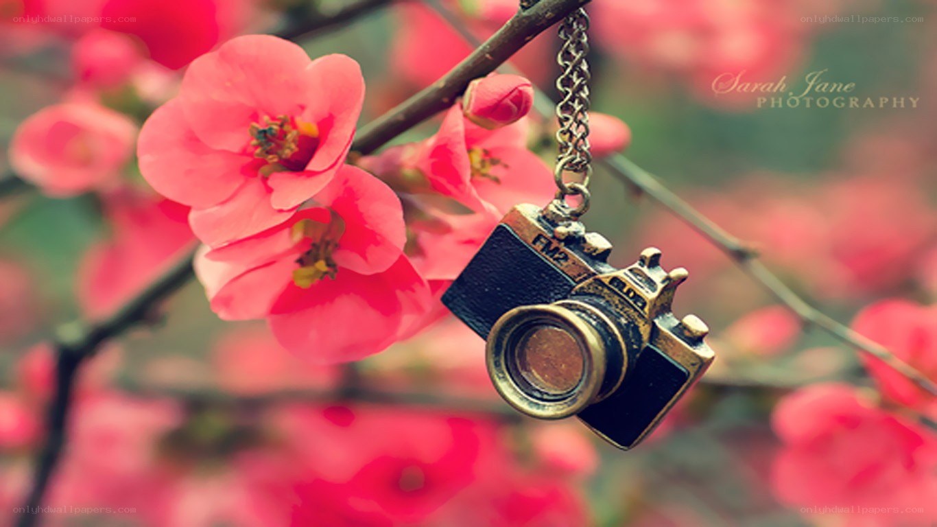 camera charm on flowering branch