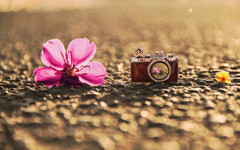 Camera Charm with Flowers