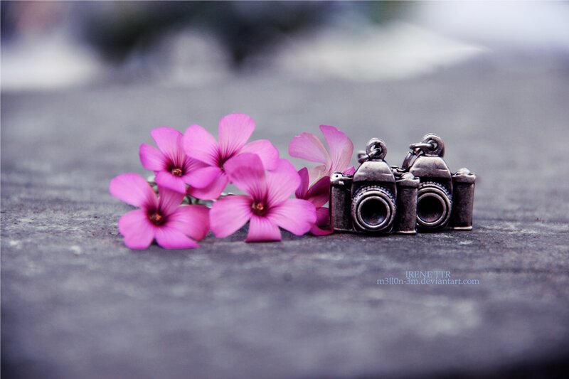 Camera Charms with Flowers