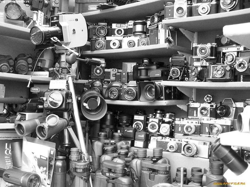 camera collection on shelves