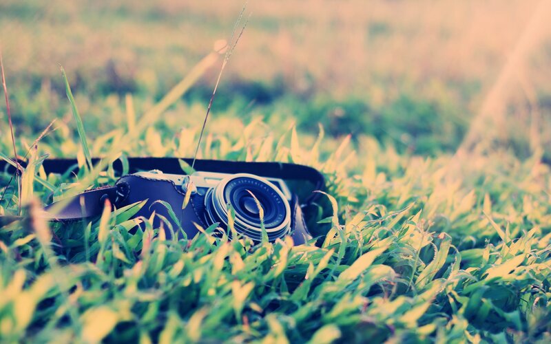 Camera in Grass